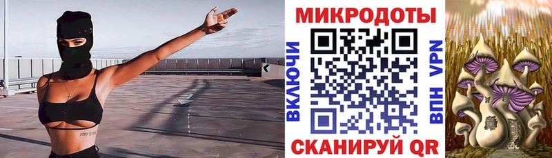 Псилоцибиновые грибы ЛСД Дедовск